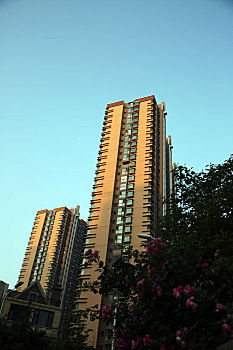 我想請個住家保姆多少錢？讓你了解住家保姆的費用與服務