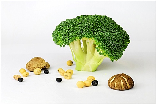 養(yǎng)緬因貓一個(gè)月花多少錢？揭秘養(yǎng)貓成本的真相