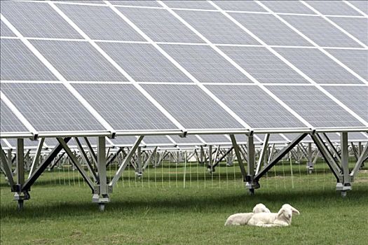 北京保姆投訴電話是多少？維權(quán)之路讓您安心無憂