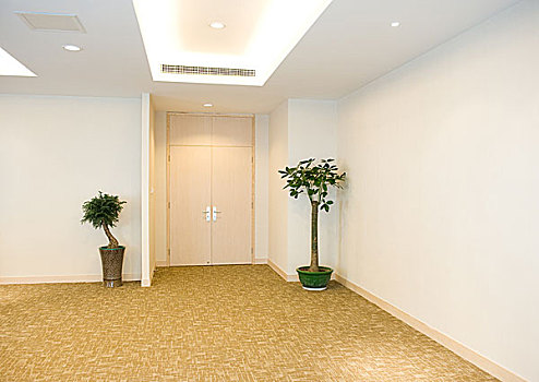 金牌月嫂多少錢(qián)月：全面解析月嫂服務(wù)的價(jià)值與費(fèi)用