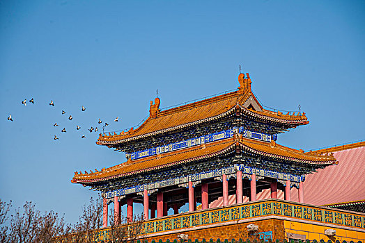 除暴投資了多少錢：揭秘這場改變命運(yùn)的投資
