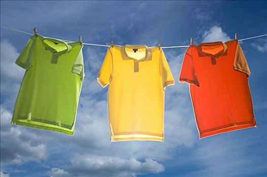 清洗一次鞋子多少錢？揭秘專業鞋子清洗的價格與服務