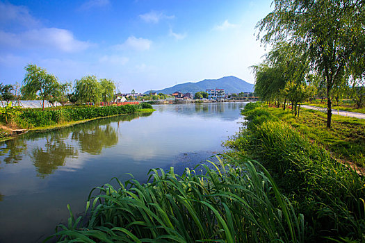 上海的護(hù)工多少錢？揭秘上海護(hù)工服務(wù)的價(jià)格與選擇