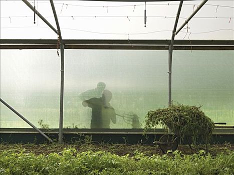 本地找保姆多少錢一個月？揭開保姆費用背后的真相