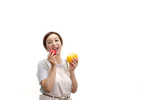 巧媳婦排油煙機(jī)多少錢？了解價(jià)格與性能，打造廚房的潔凈世界！