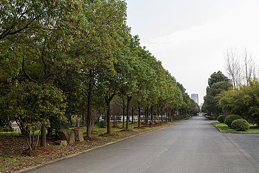 濟南鐘點工一般多少錢？讓您輕松了解市場行情