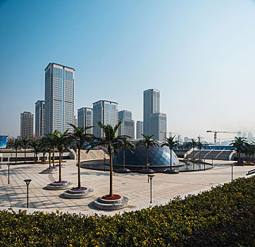 金漸層藍金貓崽兒多少錢？揭秘市場價格與養貓心得！