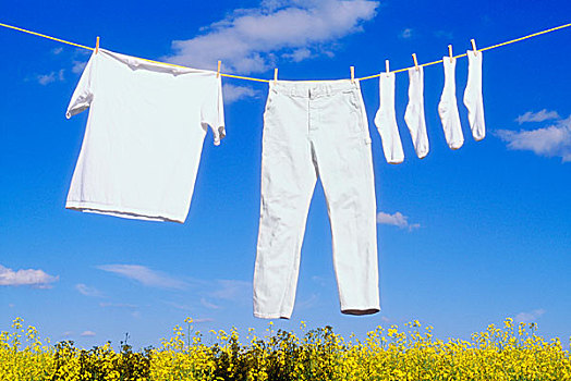 深圳洗空調多少錢一臺？價格與服務全解讀，幫您省錢又省心！
