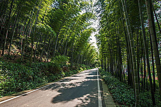 上海鐘點工多少錢一月？揭秘上海鐘點工市場現狀與收費標準