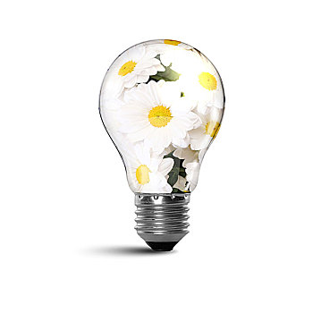 金剛川電影的票價是多少？揭秘最受歡迎電影背后的價格秘密