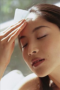 緬因貓一頓能吃多少貓糧？你應該知道的這些事
