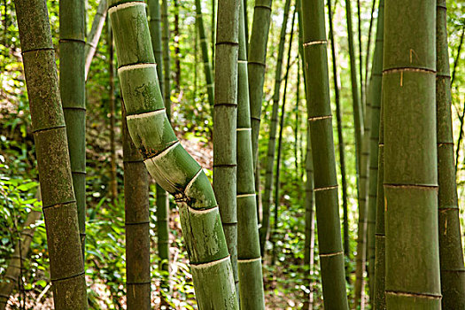 請(qǐng)人搞衛(wèi)生多少錢一小時(shí)？讓家務(wù)更輕松，找到最實(shí)惠的清潔服務(wù)