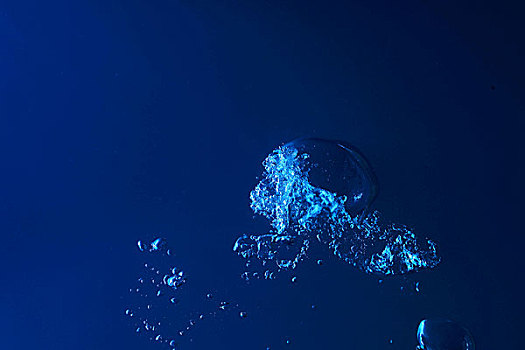 《熊出沒》電影系列票房大揭秘：它究竟賺了多少？
