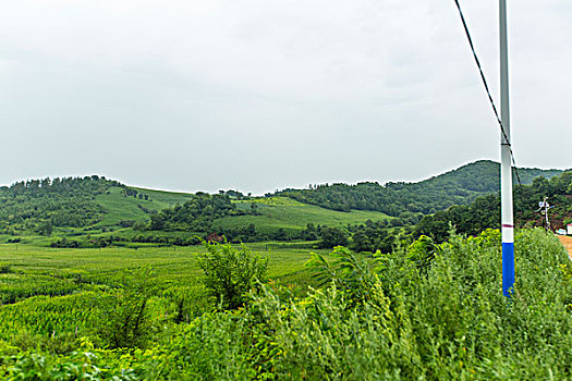 曲江家政服務行業的蓬勃發展與市場前景