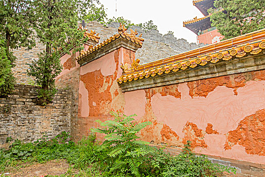 青島帶孩子的保姆多少錢(qián)？為你解密市場(chǎng)價(jià)格與選擇技巧