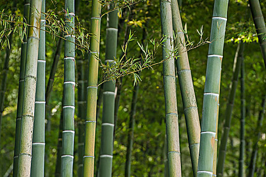 珠海親子鑒定費(fèi)用多少？揭秘親子鑒定的費(fèi)用與注意事項(xiàng)