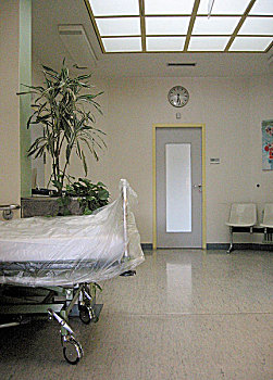 平時洗鞋多少錢？讓你省心又省錢的洗鞋攻略