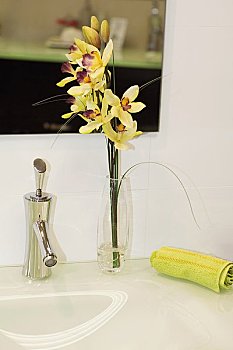 《急先鋒成本花費多少錢？揭秘背后的巨額投入》