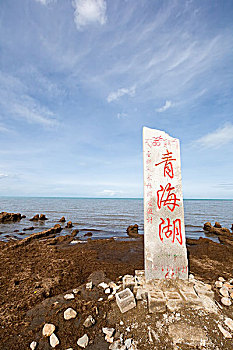 妙先生票房回本分析：如何在市場中打破常規，逆襲成功