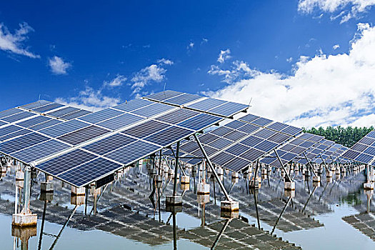 《除暴電影投資多少錢？揭秘幕后投資與收益的精彩故事》