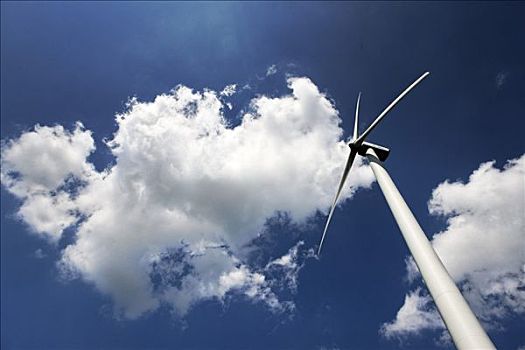 賈玲投資電影多少錢？揭秘背后的資本運作與市場影響