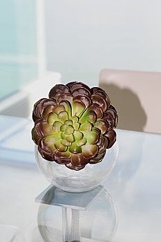 天津保姆看孩子價格多少？選擇合適的保姆，給孩子最好的照顧