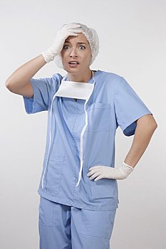 3個月緬因貓多少錢一只？如何選擇優質緬因貓？